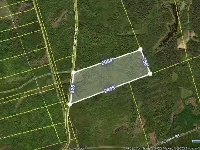 44 Acres Mountain Road, College Grant, NS, B0K 1N0 vacant la.