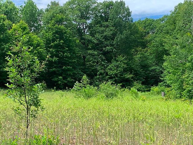 44 Acres On St Joseph Island