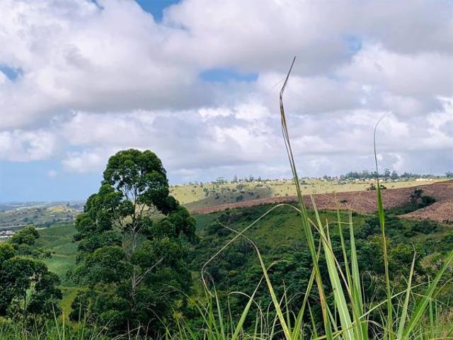 44 ha Land available in Port Shepstone Central