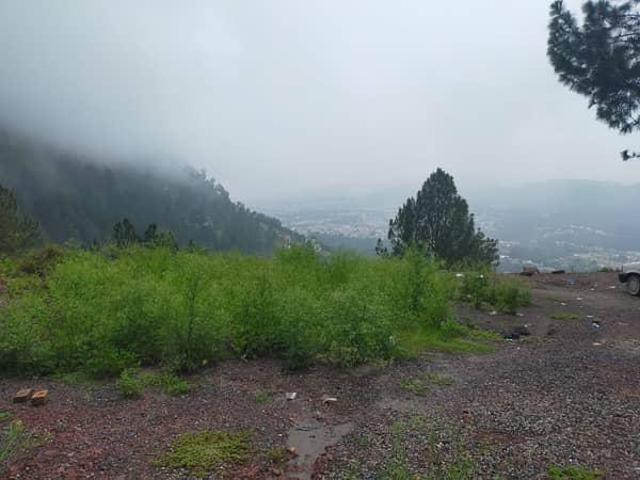 44 marla plot for sale in habibullah colony abbottabad in Pakistan | Clasf real estate