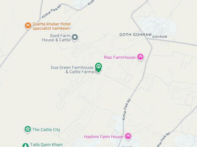 4500 Square Yard RCC Farm House Jumani Goth