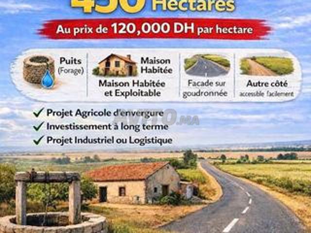 450 hectares à vendre à Berrechid