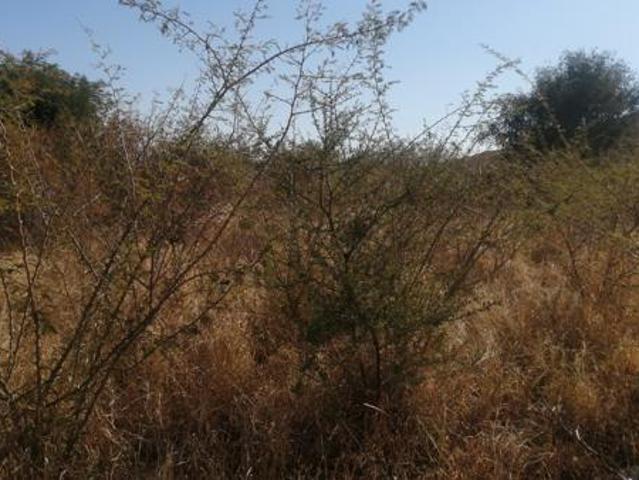 450 m² Land available in Lebowakgomo
