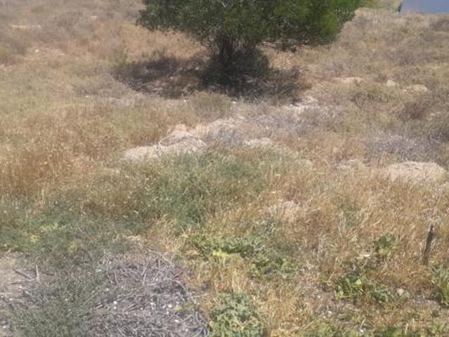 450 m² Land available in Shelley Point
