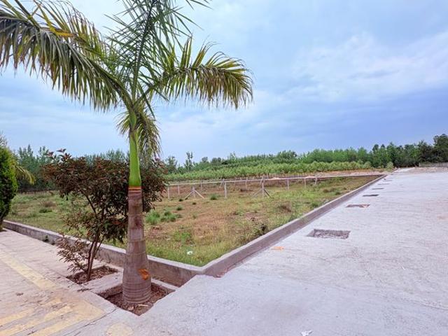 451 Sq.Ft. Plot in Biharigarh Dehradun Listing ID: #10367