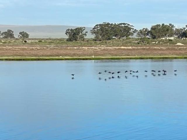 452 m² Land available in Port Owen