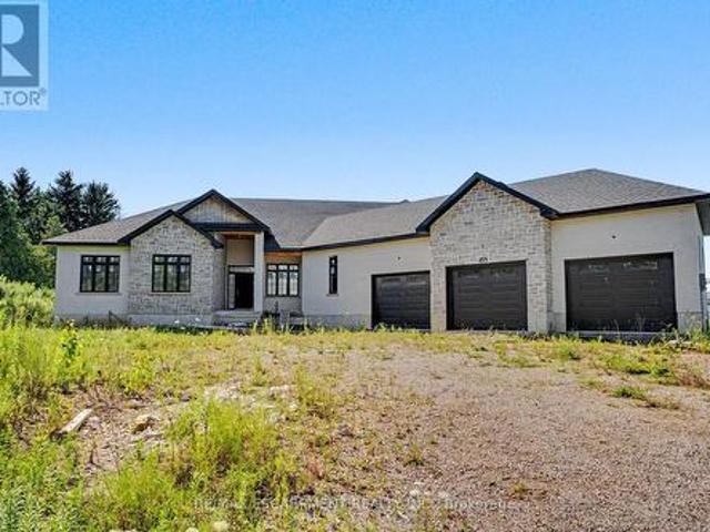455 Mines Road, Haldimand, ON, N3W 1X6 house for sale | Listing ID X13642 | Royal LePage