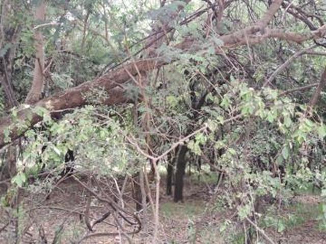 457 m² Land available in Leeupoort