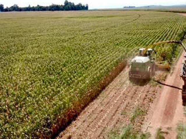 459 ha irrigation and grazing farm n.