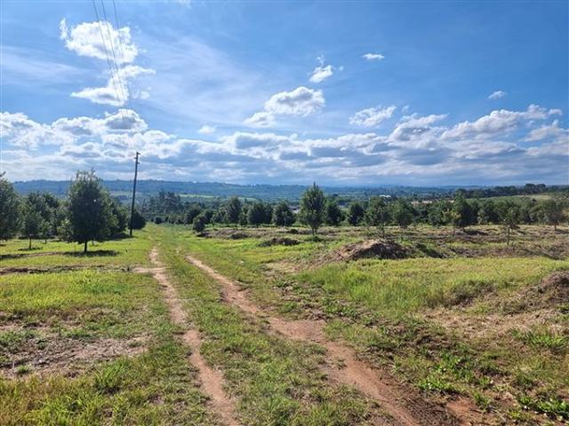 45.2 ha Farm in White River AH