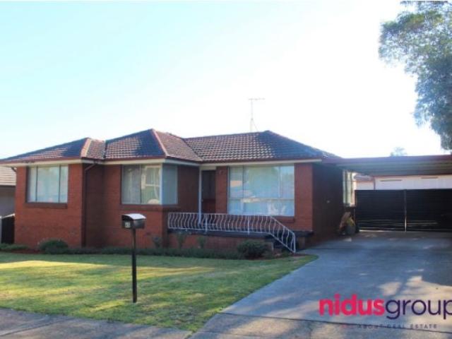 45 Dawn Street Greystanes NSW