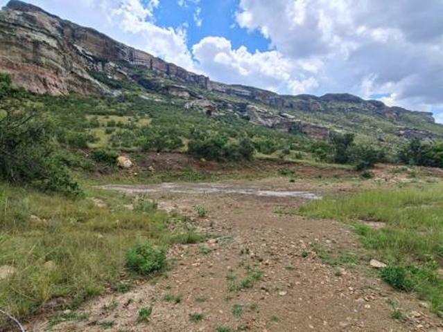 45 ha Land available in Warden