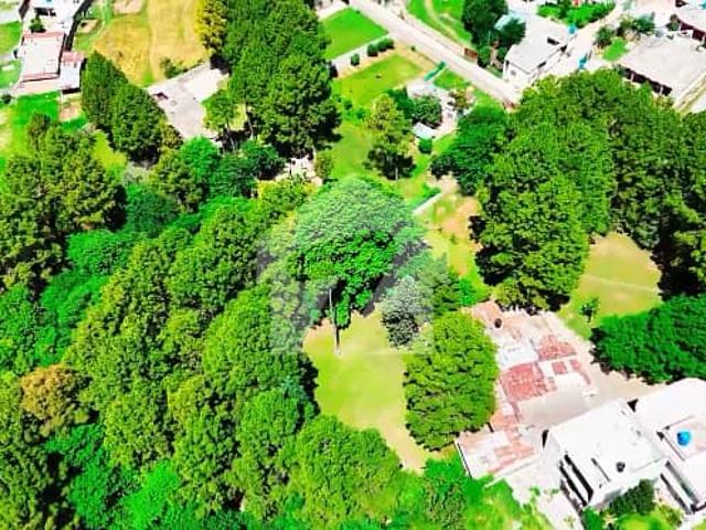 45 Kanal Prime Residential Land for Sale Abbottabad
