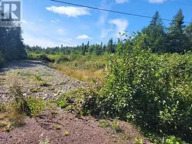 45 Main Street, Northern Arm, NL, A0H 1E0 vacant land for sa.
