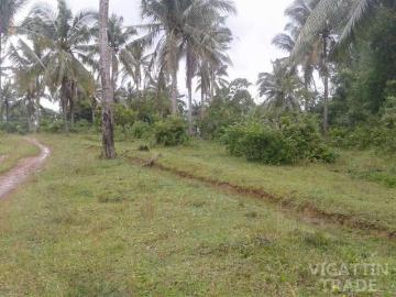 46000 sqm san lorenzo Guimaras