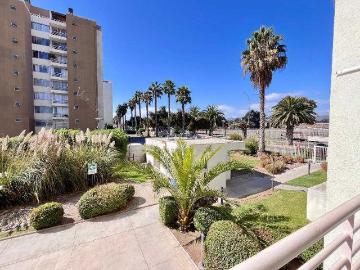$ 460.000 Departamento en Arriendo en La Serena 1 dormitorio 1 baño / Kutt Property