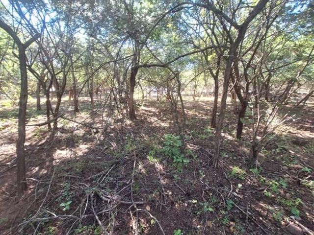 460 m² Land available in Leeupoort