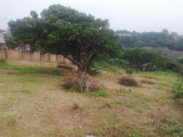 463 m² Land available in Hibberdene