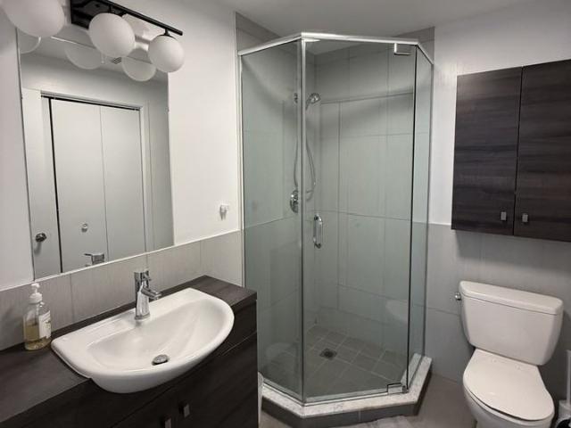 468 Rue McGill Studio Apartment for Rent at 468 Rue Mcgill, Montréal, QC H2Y 2H2 Vieux Montréal