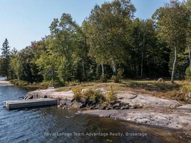46 Taylor Lake Road, Whitestone, ON, P0A 1G0 house for sale | Listing ID X12129 | Royal LePage