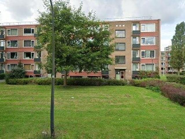 46 m2 apartment for rent in Haarlem