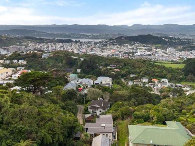 46A Mana Street, Vogeltown, Wellington City