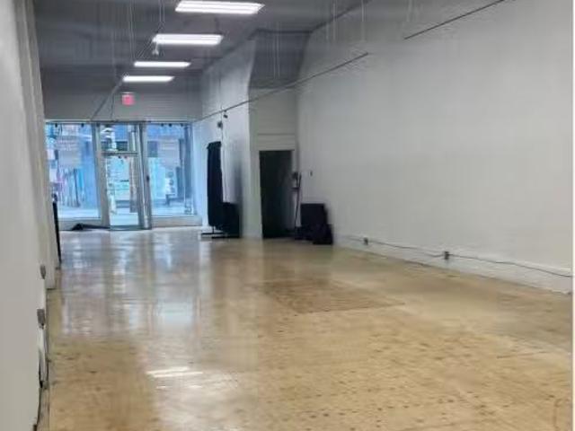 474 Queen Street W, Toronto, ON, M5V 2B2 commercial for leas.