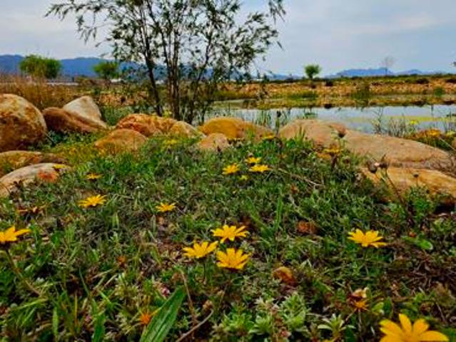 476 m² Land available in Robertson