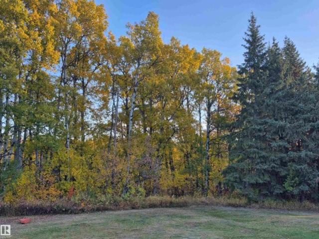 4815 53 Avenue, Viking, AB, T0B 4N0 vacant land for sale | Listing ID E4460 | Royal LePage