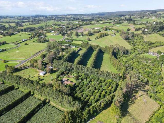482B Esdaile Road, Whakamarama, Western Bay Of Plenty