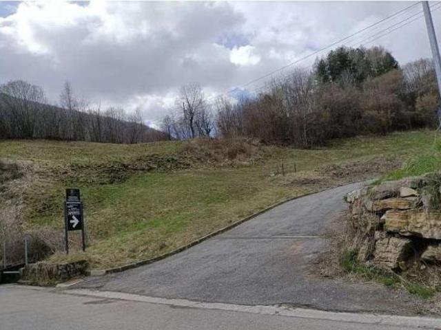 484/2024 U BS fabbricato per l'allevamento di bovini