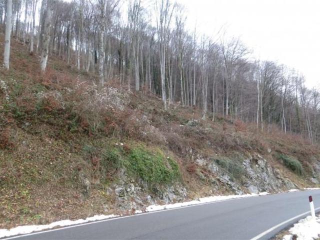 486/2025 3 BG terreni agricoli in asta a Costa Valle