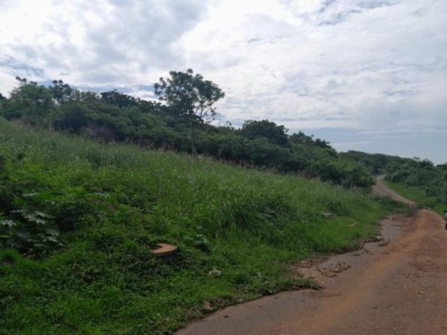 487 m² Land available in Belvedere