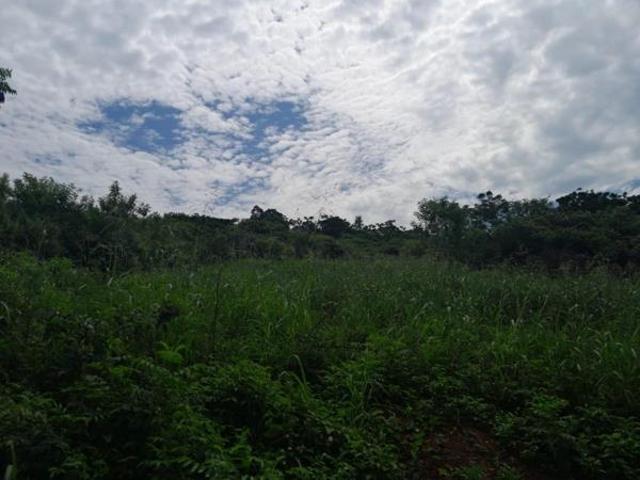 487 m² Land available in Belvedere