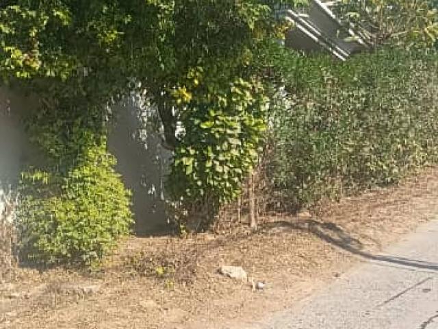 4896 sq fit dobel store corner house for sale westridg 1 Rawalpindi Westridge ID 86823