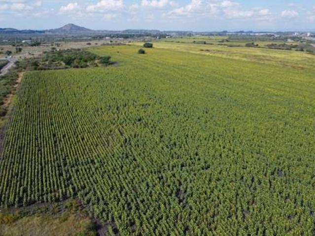 48.9 ha Land available in Kroondal