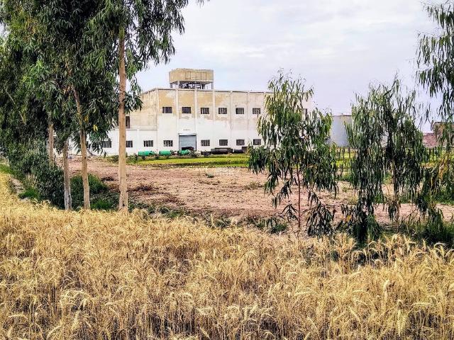 48 Kanal Commercial Factory for Rent in Multan Bahawalpur Road, Near Laeeq Rafique Hospital