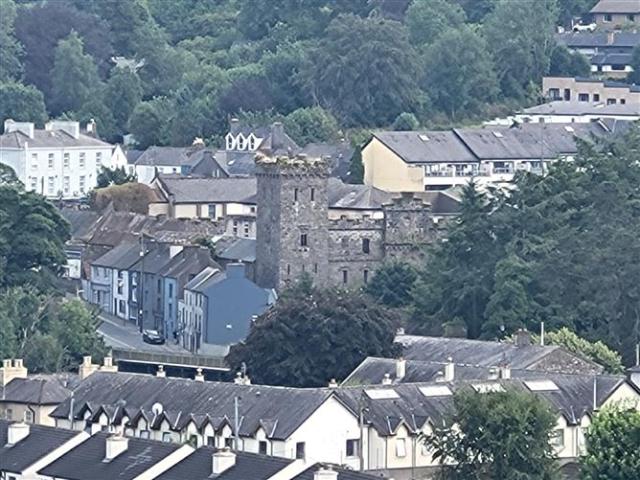 495,000 | 56 Ard Na Greine, Macroom, Cork Global Properties Cork & Ballincollig 5015 MyHome. Ie Residential
