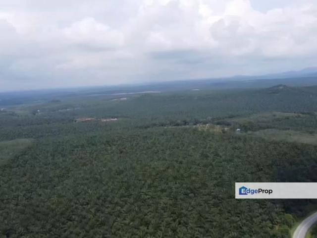 495 Acre Freehold Agricultural Land Jasin, Rim Melaka For Sale / Rent