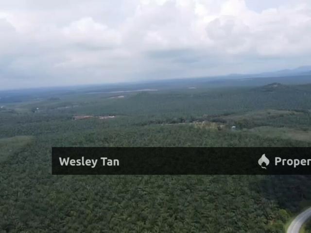 495 Acre Freehold Agricultural Land Jasin, Rim Melaka For Sale / Rent