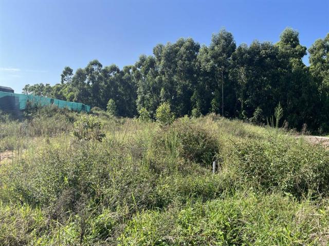 495 m² Land available in Elaleni Coastal Forest Estate