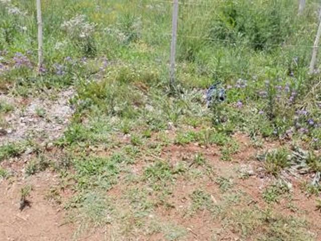 495 m² Land available in Henley on Klip