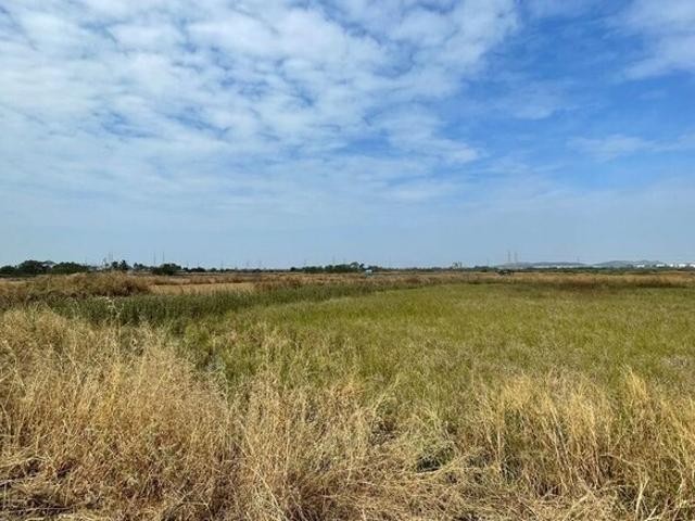 4996 Sq.Ft. Plot in Panvel Navi Mumbai Listing ID: #10119