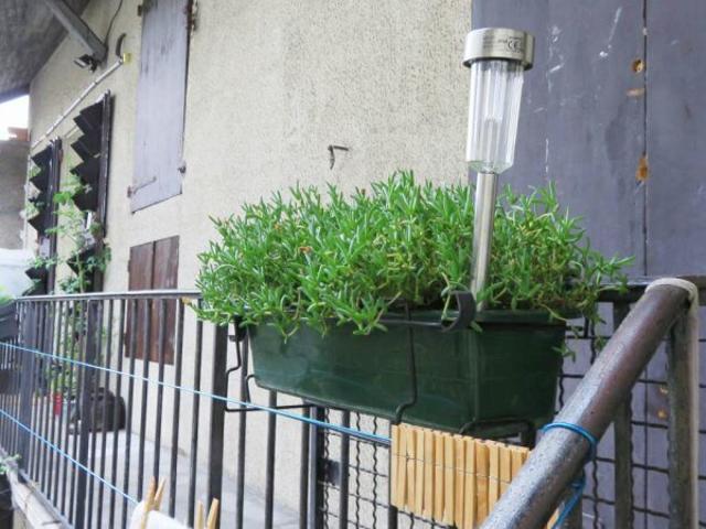 49 GRANDE RUE LA TRONCHE