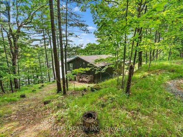 49 Sleepy Hollow Road, Rideau Lakes, ON, K0G 1E0 house for sale | Listing ID X12224 | Royal LePage