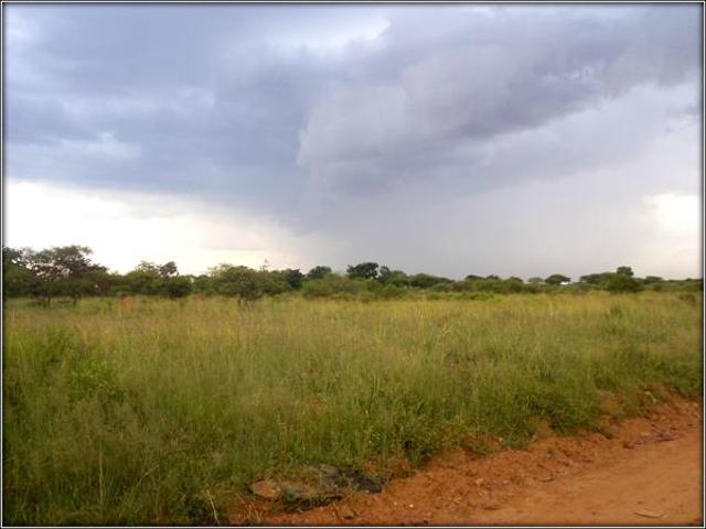 4 m² Land available in Ivydale