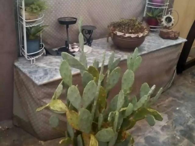 4 Marla Double storey house for Sale Canal Bank near Fateh Garh Lahore Canal Bank Housing Scheme ID 31470