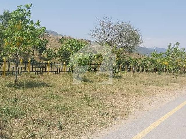 4 Marla Level Plot is For Sale in D 12 Islamabad
