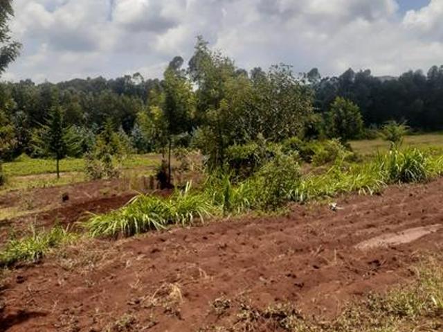 4 Acres of prime fertile land for sale