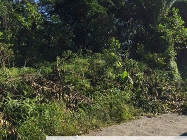 4 Acres Agricultural Land at Sg Buloh